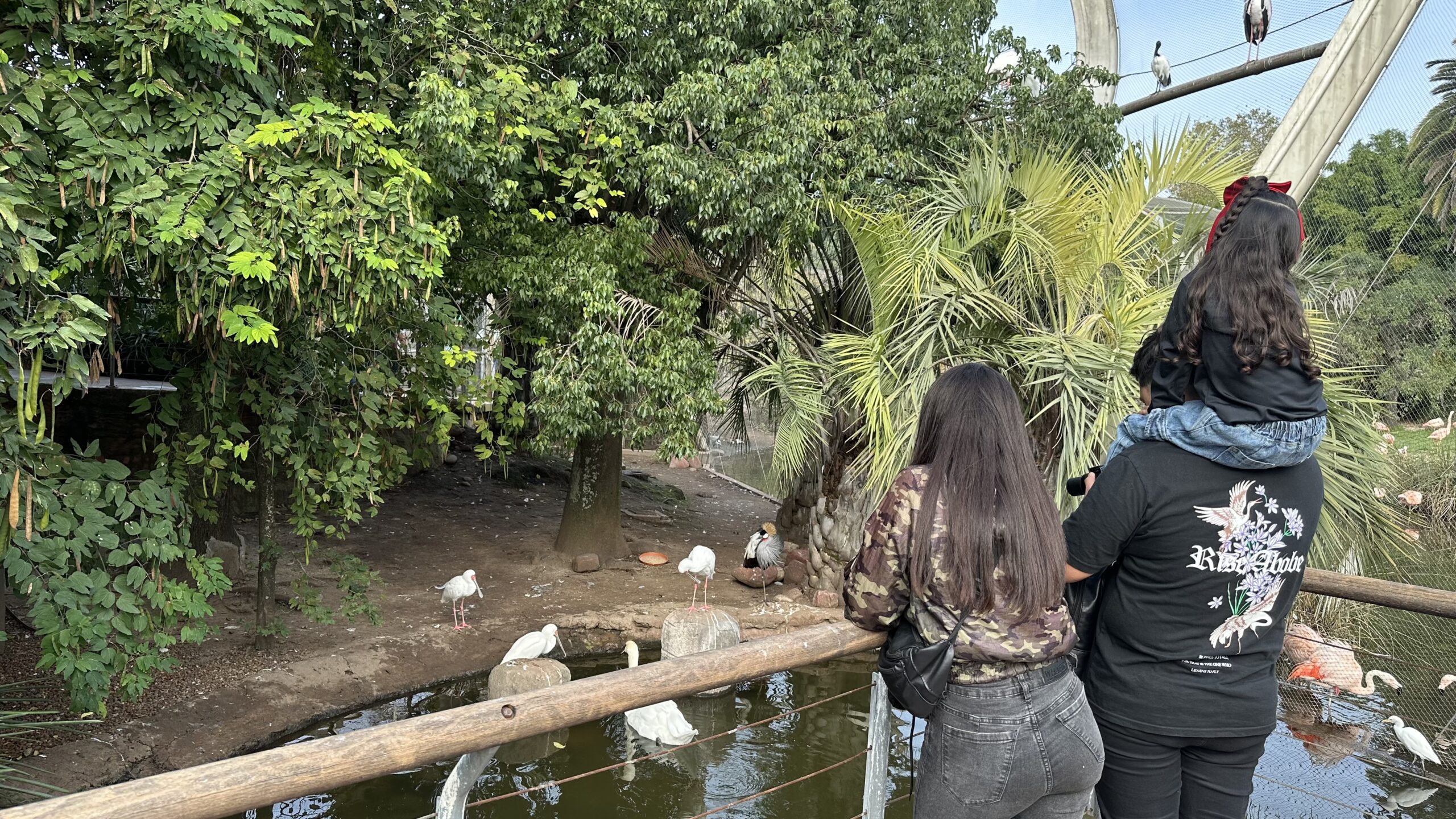 El Bioparque Temaikèn, con más opciones en esta primavera