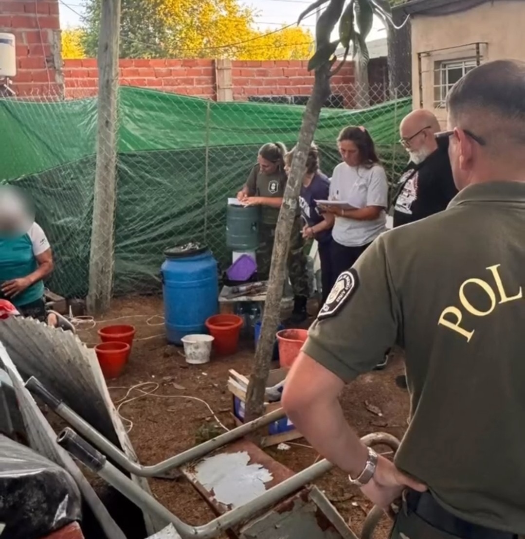 Desarticulan un criadero clandestino en Doña Justa: rescatan a ocho perros en condiciones de extrema crueldad
