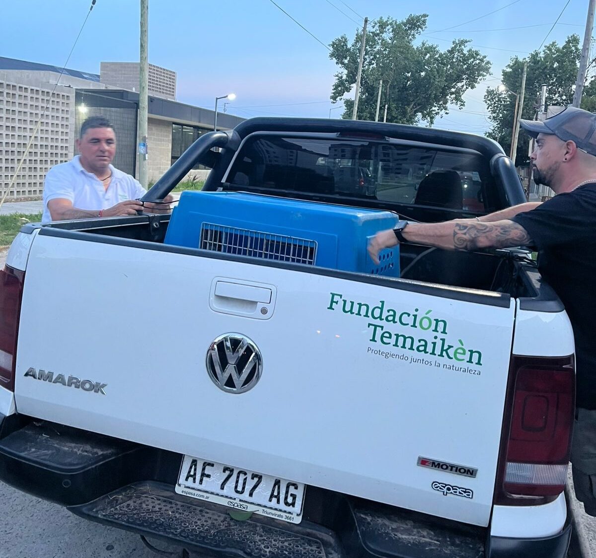 De Escobar al mar: una tortuga verde volvió al océano tras ser rehabilitada en Temaikèn