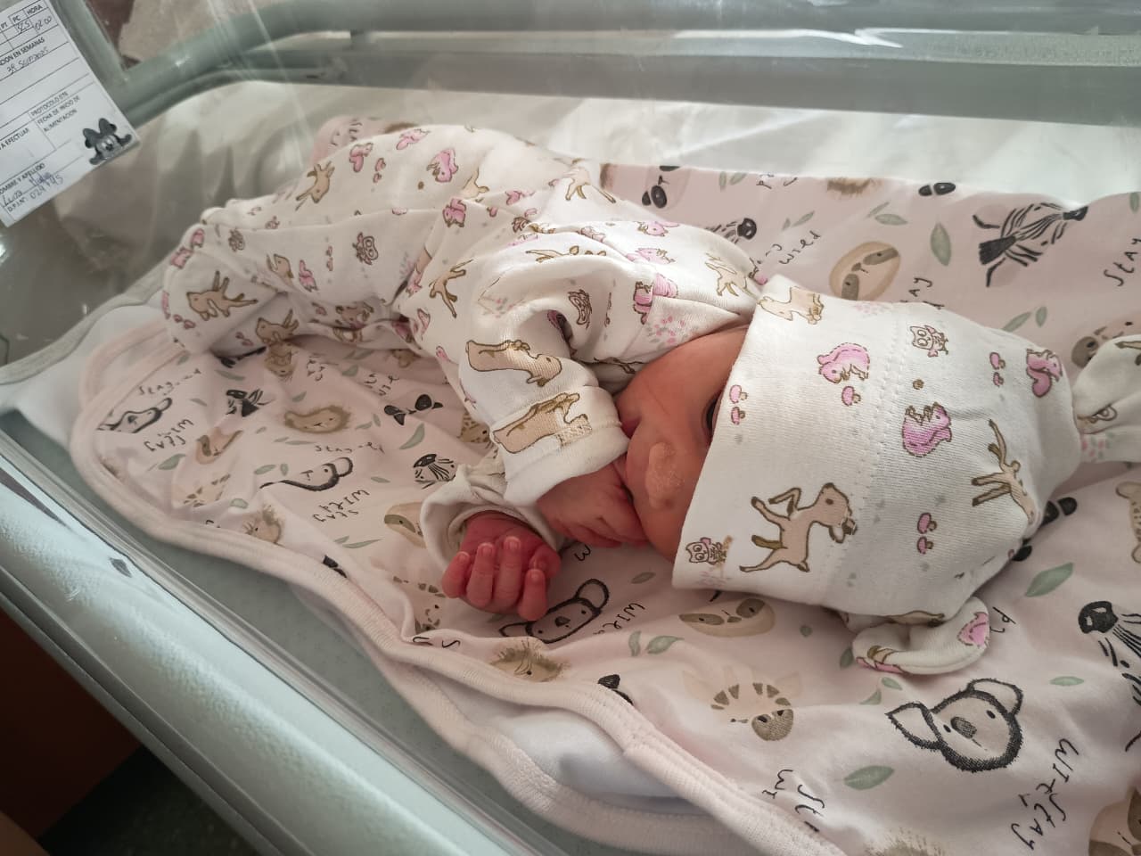 En una ambulancia, nació el primer bebé del año